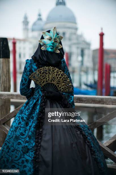 venice carnival - venetian mask stock pictures, royalty-free photos & images