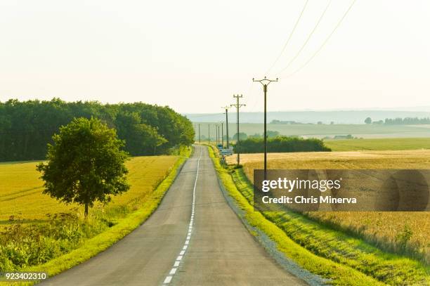 Nitry Nitry Photos and Premium High Res Pictures - Getty Images