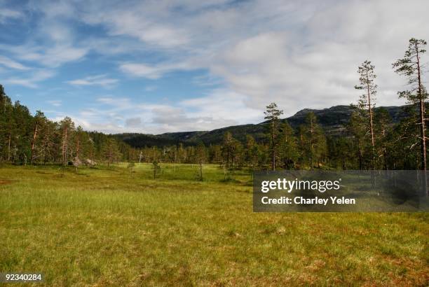 Pakistan Rago 77 Rago National Park Stock Photos, High-Res Pictures, and Images ...
