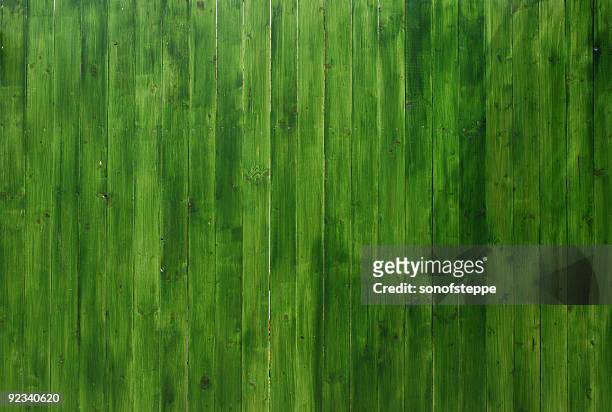 vivid green wooden texture - município de peste imagens e fotografias de stock