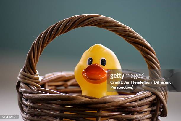 chicken in a basket - jim henderson stock pictures, royalty-free photos & images