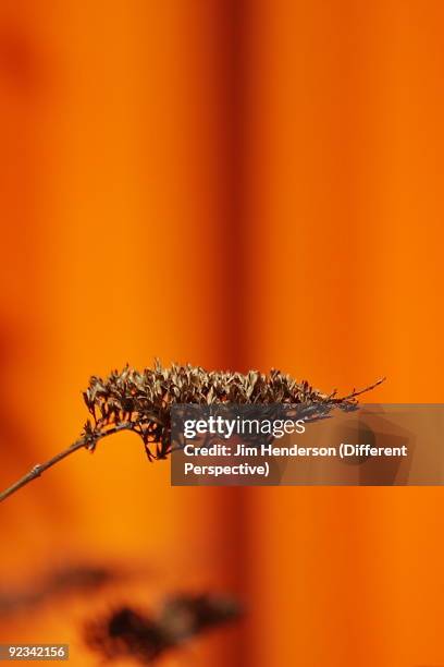 handling the heat - jim henderson stock pictures, royalty-free photos & images