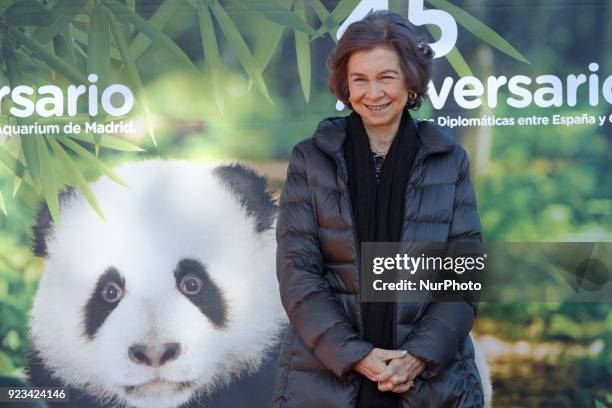 Queen Sofia of Spain attends an official act for the conservation of giant panda bears at the Zoo Aquarium on February 23, 2018 in Madrid, Spain.