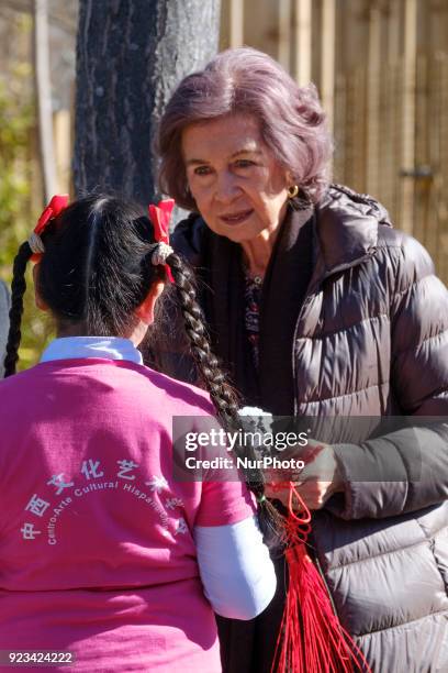 Queen Sofia of Spain attends an official act for the conservation of giant panda bears at the Zoo Aquarium on February 23, 2018 in Madrid, Spain.
