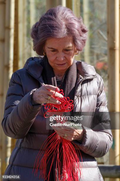 Queen Sofia of Spain attends an official act for the conservation of giant panda bears at the Zoo Aquarium on February 23, 2018 in Madrid, Spain.