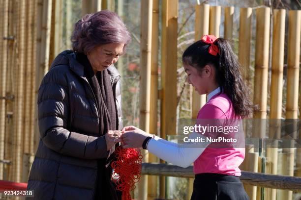 Queen Sofia of Spain attends an official act for the conservation of giant panda bears at the Zoo Aquarium on February 23, 2018 in Madrid, Spain.