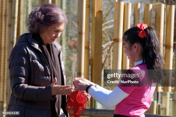 Queen Sofia of Spain attends an official act for the conservation of giant panda bears at the Zoo Aquarium on February 23, 2018 in Madrid, Spain.