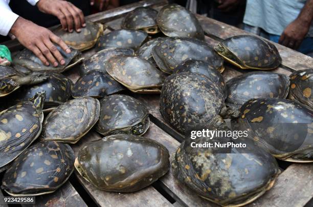 Wildlife Crime Control Unit of Forest Department and the Rapid Action Battalion seize six maunds of rare species of tortoise during a joint drive at...