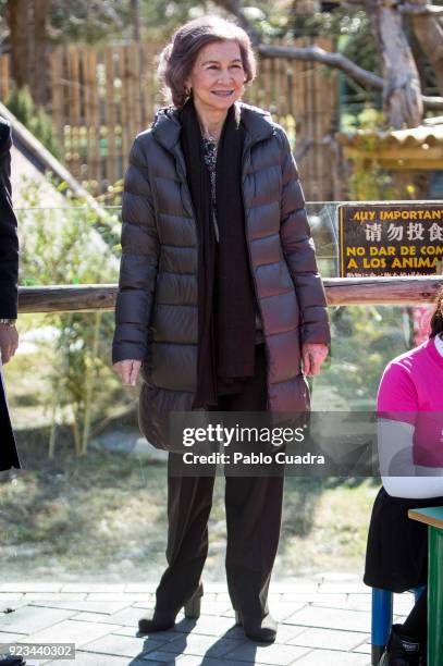 Queen Sofia of Spain attends an official act for the conservation of giant panda bears at the Zoo Aquarium on February 23, 2018 in Madrid, Spain.