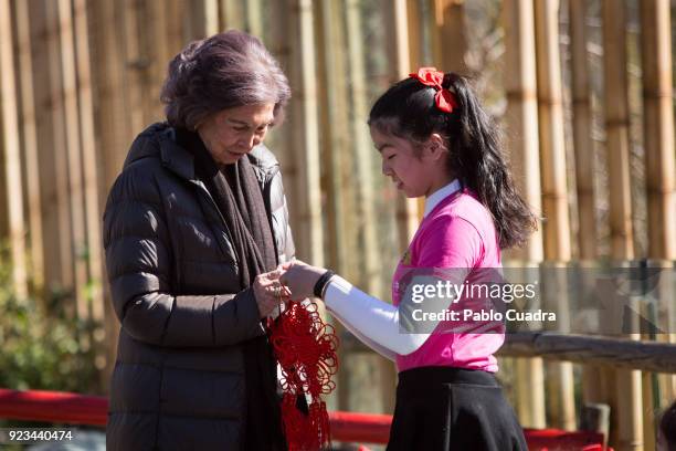 Queen Sofia of Spain attends an official act for the conservation of giant panda bears at the Zoo Aquarium on February 23, 2018 in Madrid, Spain.