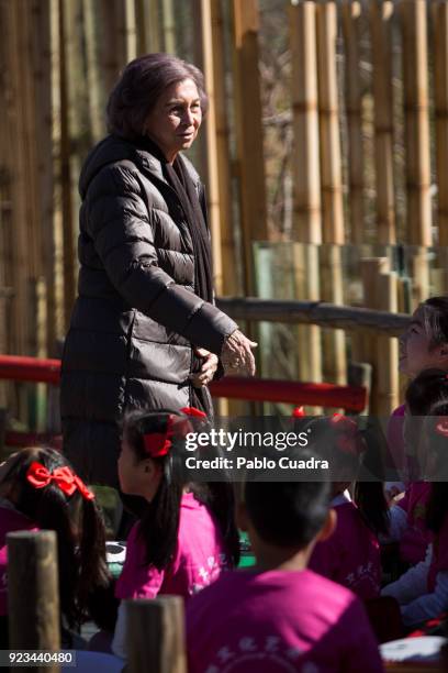 Queen Sofia of Spain attends an official act for the conservation of giant panda bears at the Zoo Aquarium on February 23, 2018 in Madrid, Spain.