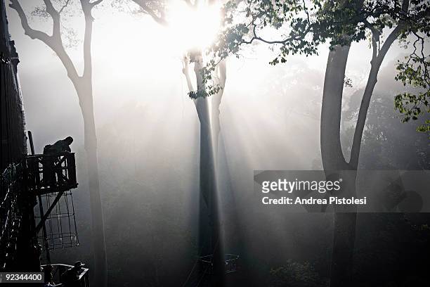 Suspension Bridge among secular trees in Danum Valley Park, in the state of Sabah, Borneo island, Malaysia. (Photo by Andrea Pistolesi/Getty