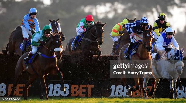 Dawson City ridden by Andrew Thornton take a flight on their way to winning the Higos Insurance Services Devon National Handicap Chase at Exeter...