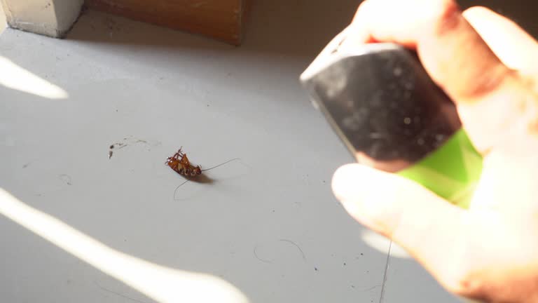 Cockpit Insect 1,082 Insect Control Stock Videos, Footage, & 4K Video Clips - Getty Images