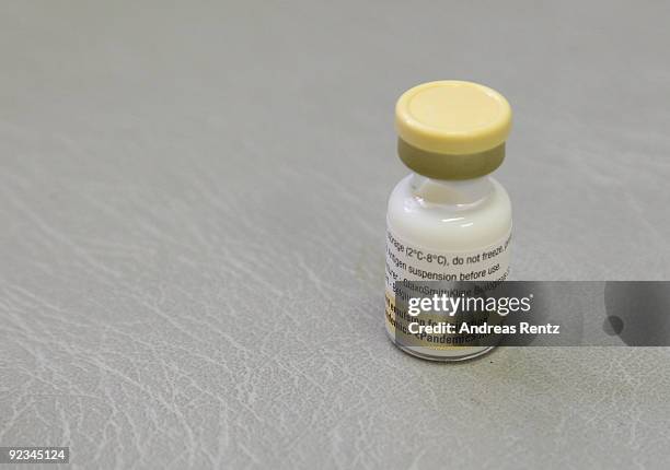 In this photo illustration the H1N1 swine flu vaccination Pandemic intensifier is pictured at Virchow clinical center on October 26, 2009 in Berlin,...