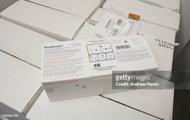 Boxes with the H1N1 swine flu vaccine Pandemrix lie in cold storage in a medical warehouse on October 26, 2009 in Berlin, Germany. German officials...