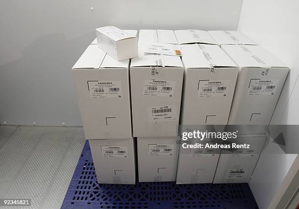 Boxes containing 56,000 vials of the H1N1 swine flu vaccine Pandemrix lie in cold storage in a medical warehouse on October 26, 2009 in Berlin,...