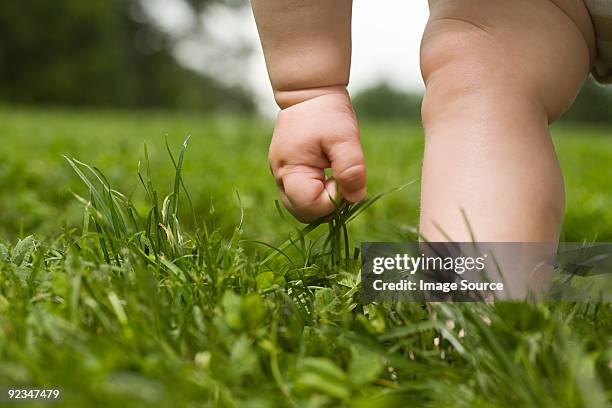 close up of hand and leg of baby in grass - close up gras stock-fotos und bilder