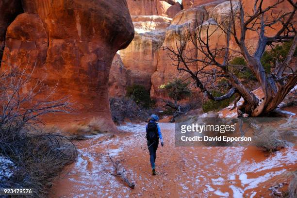 woman hiking in fiery furnace area of arches national park in winter. - fiery furnace arches national park stock pictures, royalty-free photos & images