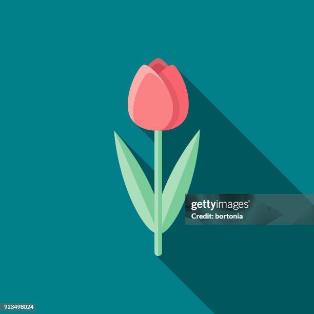 bildbanksillustrationer, clip art samt tecknat material och ikoner med tulip platt design påsk ikonen med side skugga - plant stem