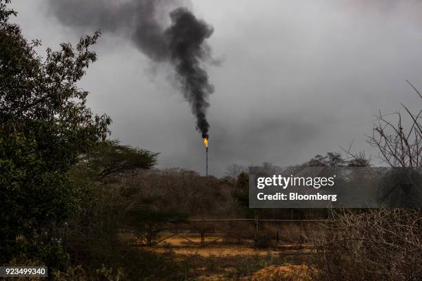 Gas flare is seen at the Petroleos de Venezuela SA Jose Antonio Anzoategui industrial complex in Barcelona, Anzoategui state, Venezuela, on Thursday,...