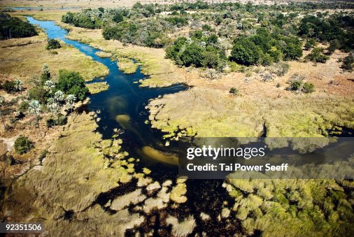 Arial shot of river and savannah. Arial shot of river and savannah.