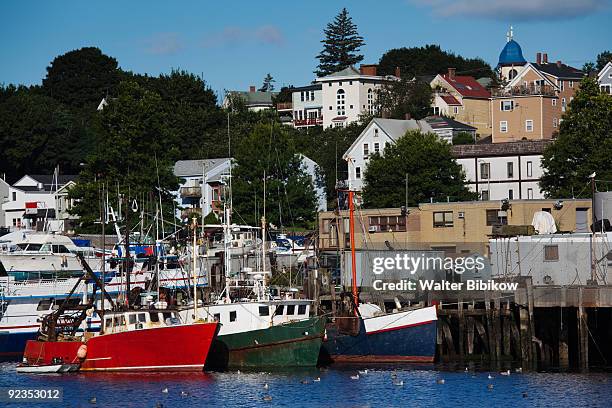 gloucester harbor - gloucester estados unidos fotografías e imágenes de stock