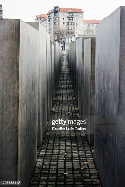 memorial to the murdered jews of europe - peter eisenman stock pictures, royalty-free photos & images