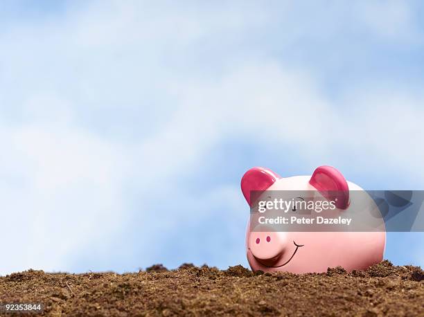 piggy bank in soil. - saving for a rainy day englische redewendung stock-fotos und bilder