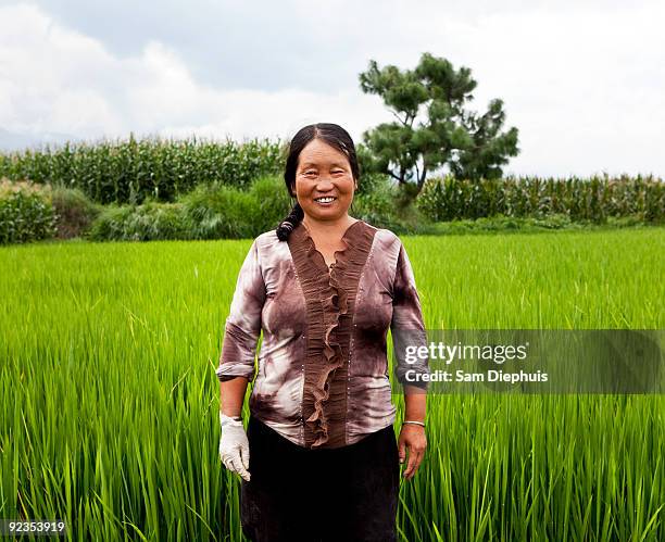 Sam Kwang Rice Famers Sam Rice Photos and Premium High Res Pictures - Getty Images