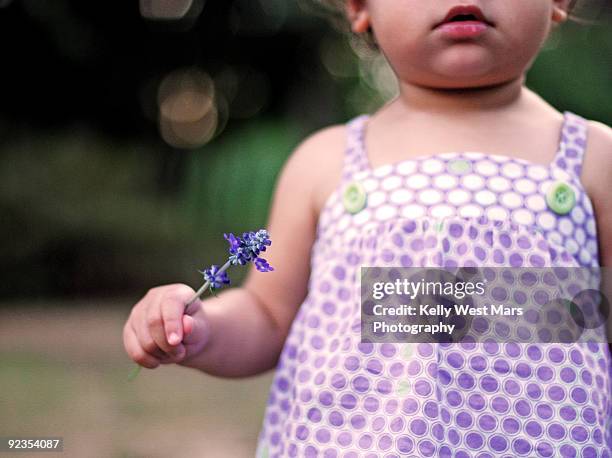 flower buds + cherub lips - prince george canada stock-fotos und bilder