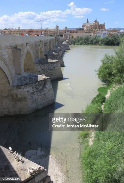 guadalquivir river and the puente romano (córdoba, spain) - puente romano stock pictures, royalty-free photos & images