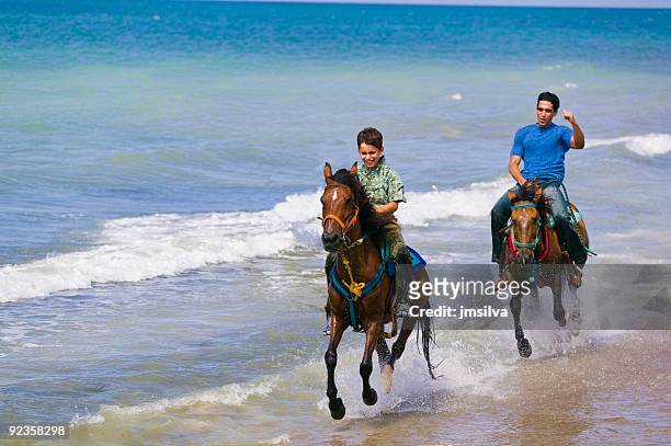 horsebackriding - horseback riding stock pictures, royalty-free photos & images