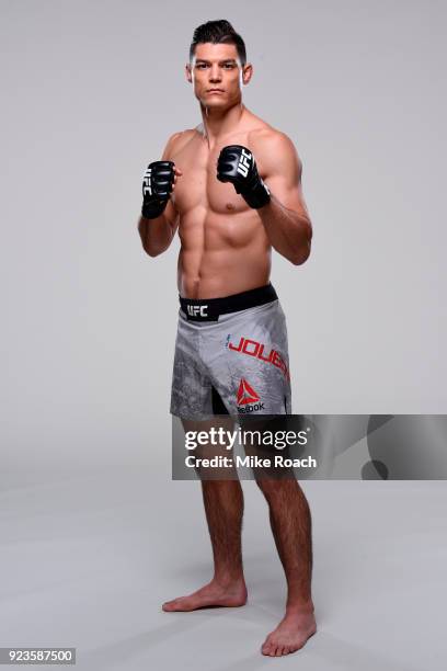 Alan Jouban poses for a portrait during a UFC photo session on February 21, 2018 in Orlando, Florida.