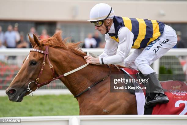 Gailo Chop ridden by Mark Zahra wins the Carlton Draught Peter Young Stakes at Caulfield Racecourse on February 24, 2018 in Caulfield, Australia.