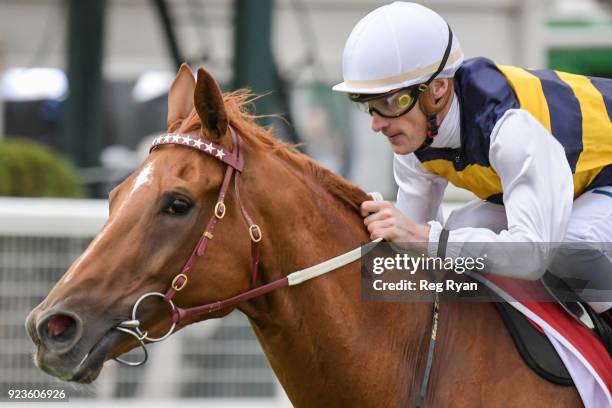 Gailo Chop ridden by Mark Zahra wins the Carlton Draught Peter Young Stakes at Caulfield Racecourse on February 24, 2018 in Caulfield, Australia.