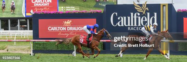 Gailo Chop ridden by Mark Zahra wins the Carlton Draught Peter Young Stakes at Caulfield Racecourse on February 24, 2018 in Caulfield, Australia.