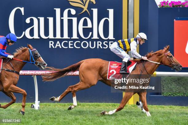 Gailo Chop ridden by Mark Zahra wins the Carlton Draught Peter Young Stakes at Caulfield Racecourse on February 24, 2018 in Caulfield, Australia.