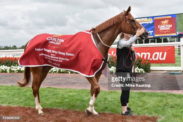 Gailo Chop after winning the Carlton Draught Peter Young Stakes at Caulfield Racecourse on February 24, 2018 in Caulfield, Australia.