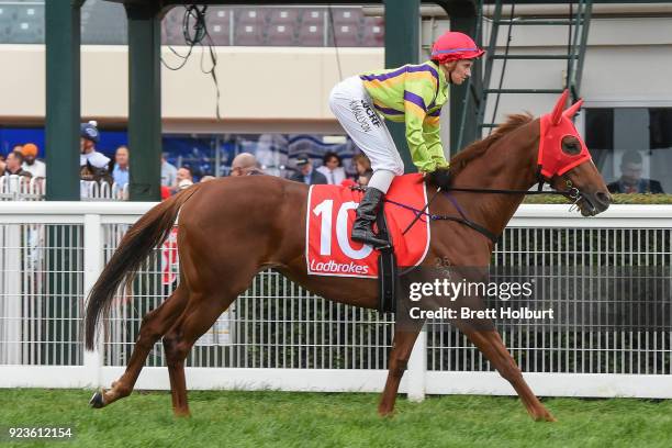 Sword of Light ridden by Katelyn Mallyon heads to the barriers before the Ladbrokes Oakleigh Plate at Caulfield Racecourse on February 24, 2018 in...