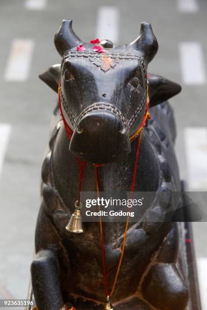 95 Nandi Bull Statue Photos and Premium High Res Pictures - Getty Images 95 Nandi Bull Statue Photos and Premium High Res Pictures - Getty Images