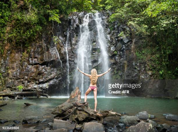 ellinjaa falls, millaa millaa, queensland, australia - millaa millaa waterfall stock pictures, royalty-free photos & images