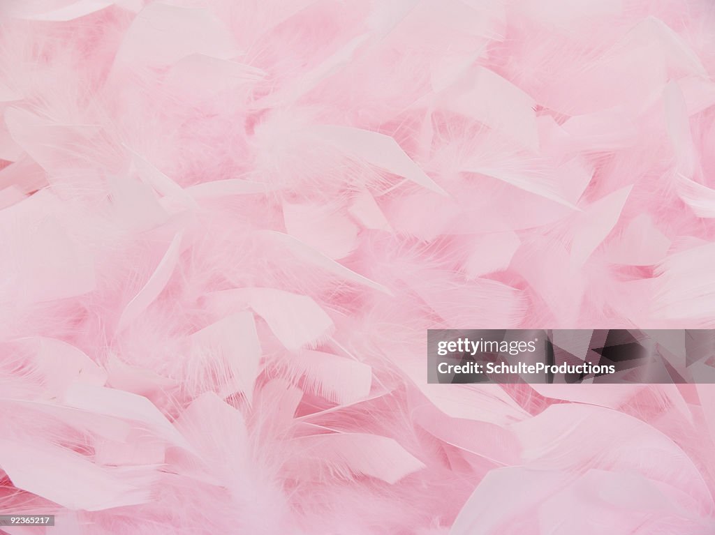 Pink Feather Boa2