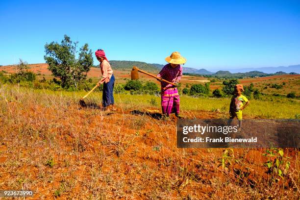 Two farmers women are working on a field in the hills of the tribal area in the traditional way.