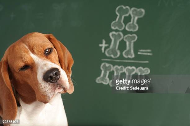 i am not sure - mathematical symbol stock pictures, royalty-free photos & images