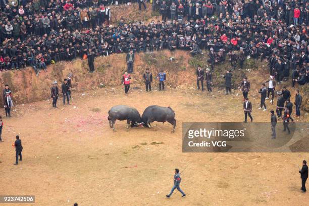 Villagers watch bulls fight against each other during a competition at Congjiang County on February 24, 2018 in Qiandongnan Miao and Dong Autonomous...