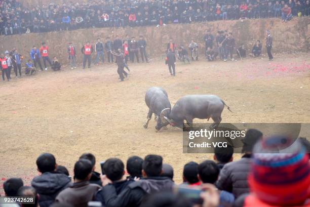 Villagers watch bulls fight against each other during a competition at Congjiang County on February 24, 2018 in Qiandongnan Miao and Dong Autonomous...