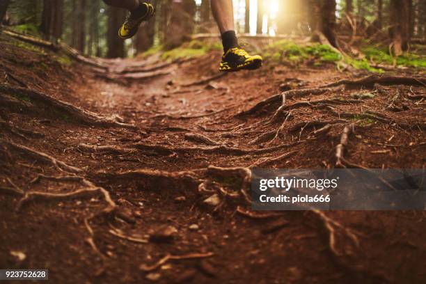 man trail running in the forest - running spikes stock pictures, royalty-free photos & images