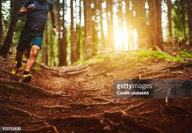man trail running in the forest - trailrunning stock pictures, royalty-free photos & images