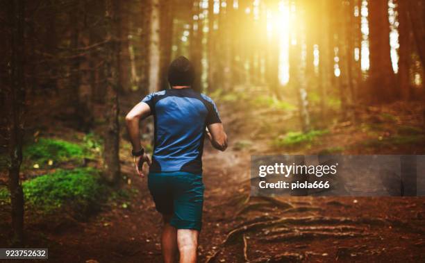 man trail running in the forest - running spikes stock pictures, royalty-free photos & images